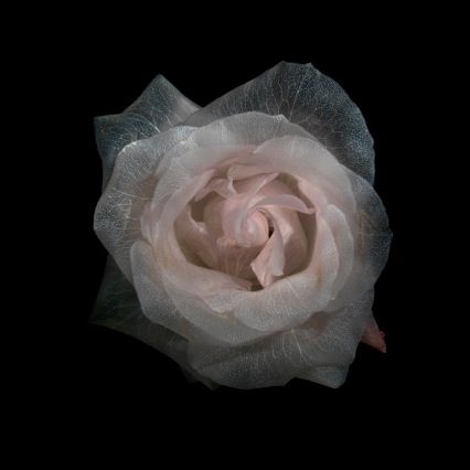 image001