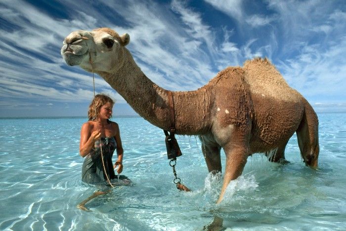 Robyn Davidson1