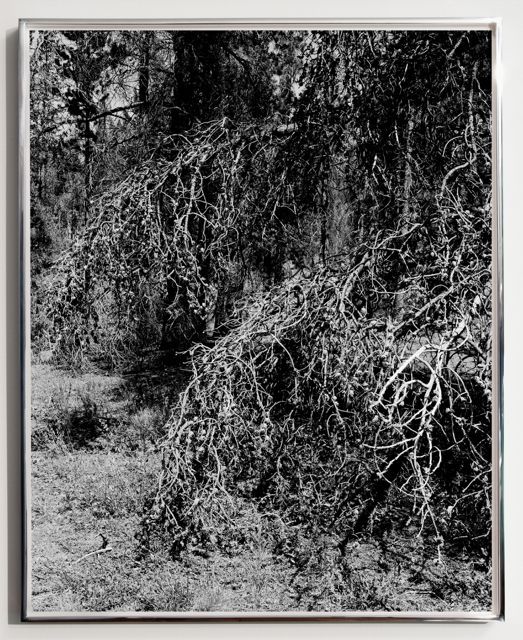unnamed-1