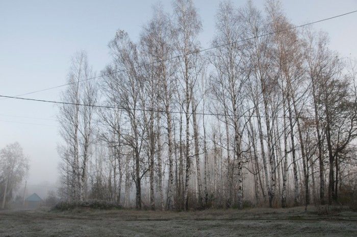 Untitled from Vanishing project