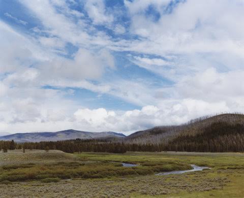 Forest fire recovery area and the Upper Gallatin River, Gallatin County, Montana, 1985