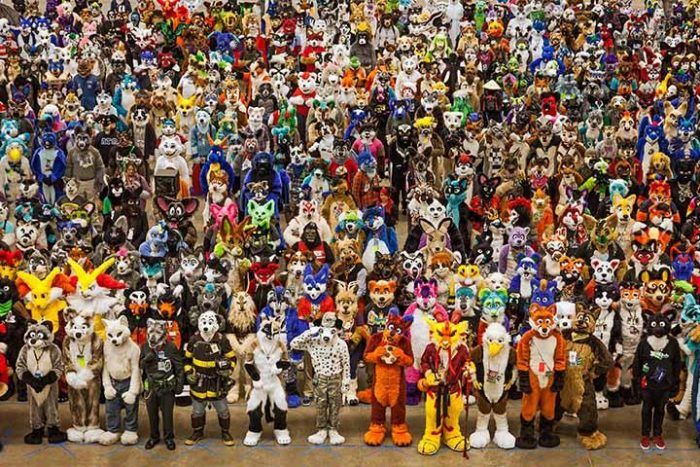 Zoo, Anthrocon, Pittsburgh, Pennsvylania 2014
