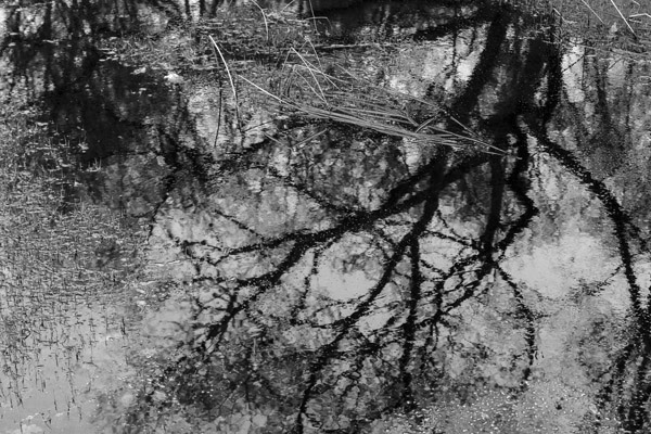 In the footsteps of The Sacrifice. V.Ivleva. Gotland. 2016