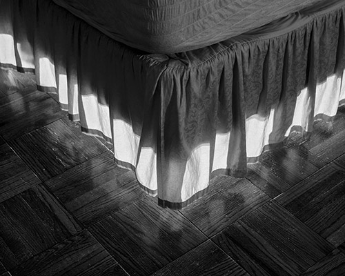 Alana Perino portfolio image