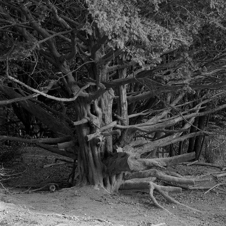 Featured artist photograph 4