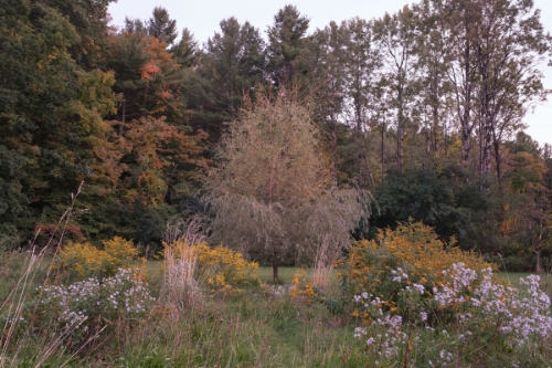 TomBland4