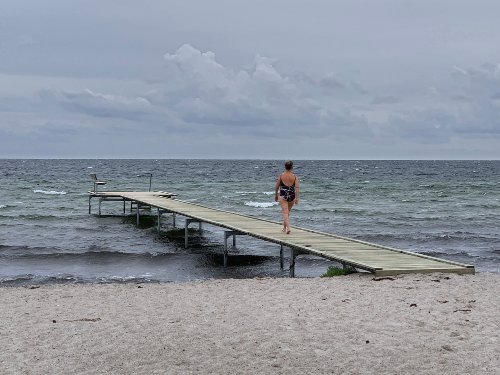 Sonia_Melnikova-Raich_