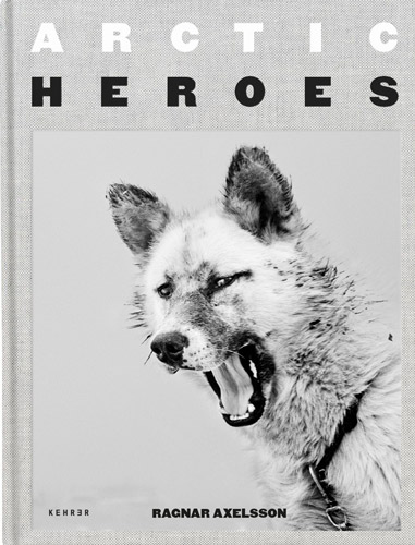 Book Review Image