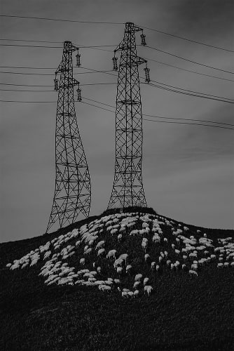 GiuseppeFrancavilla4