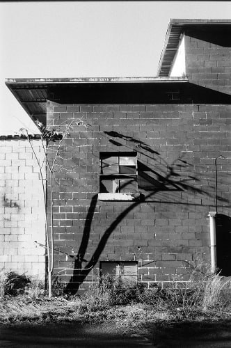 JulesTatham12