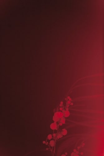 LucaBrunetti01