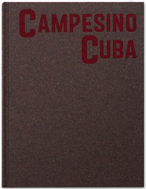 Book Review Image