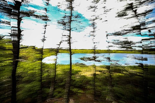 Blackwater Pond, MA 