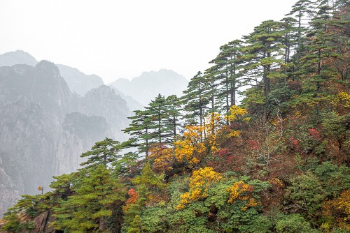 Yellow Mountains