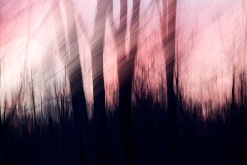 Nina_Weinberg Doran_5