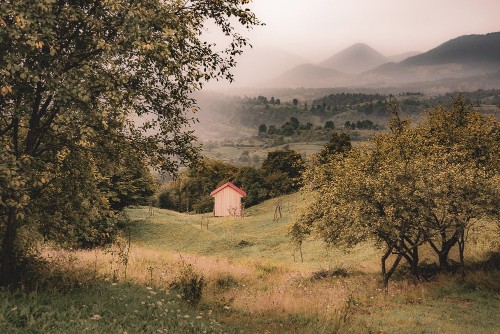 OanaDaian2