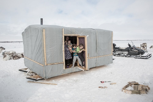 Reindeer herders' camp