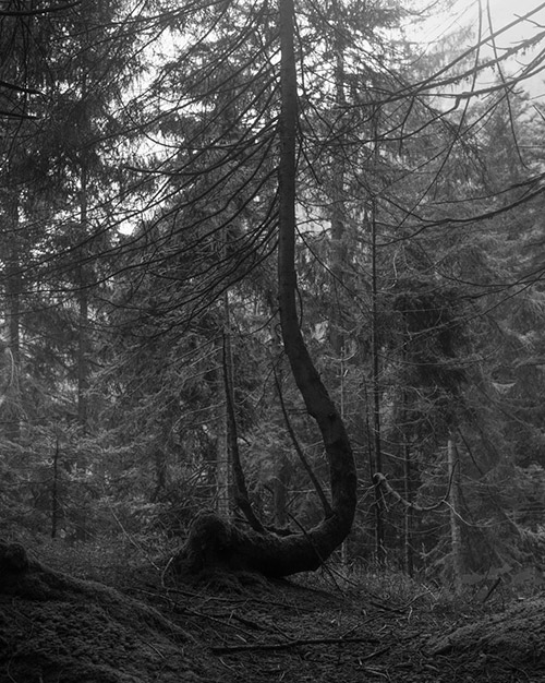 Rick van der Klooster portfolio image