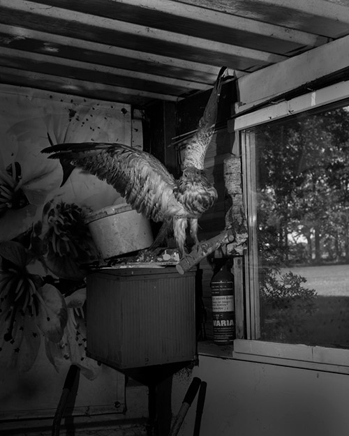 Rick van der Klooster portfolio image