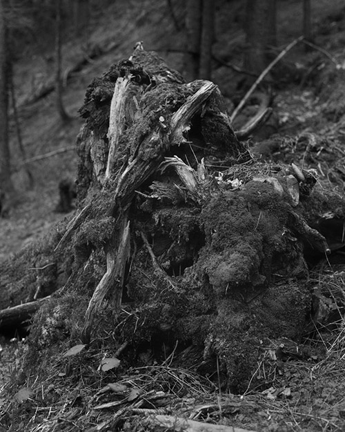 Rick van der Klooster portfolio image