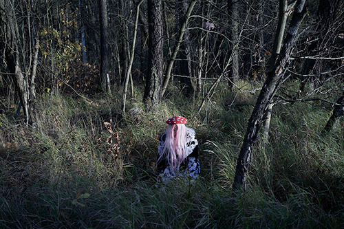 Anastasia Shubina and Timofey Glinin portfolio image