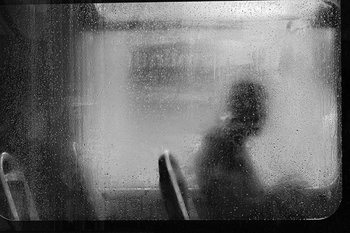 Mary Crnkovic Pilas  portfolio image