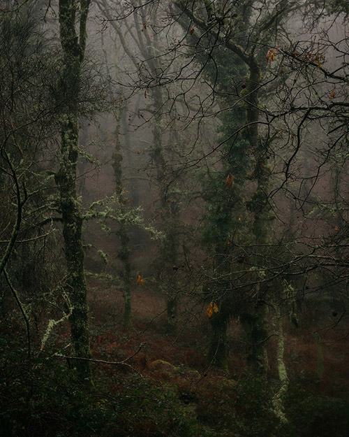 Vicente Fraga  portfolio image