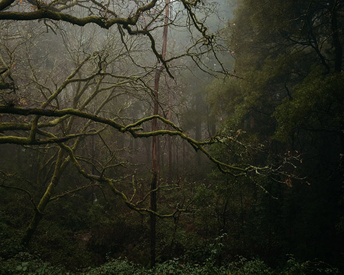 Vicente Fraga  portfolio image