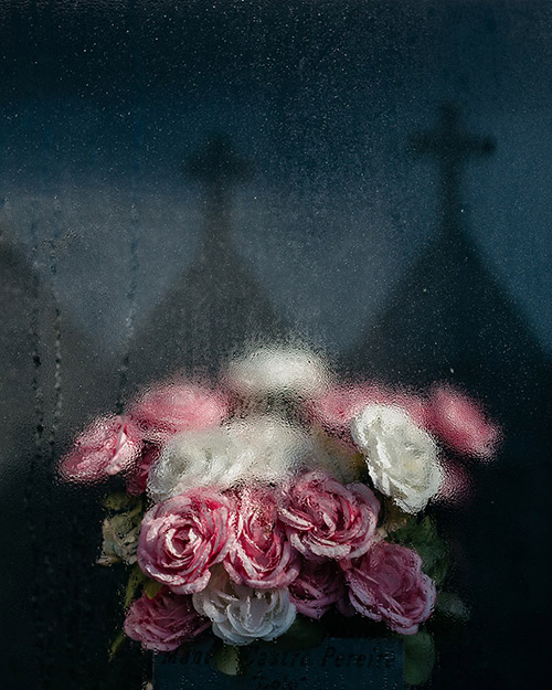 Vicente Fraga  portfolio image