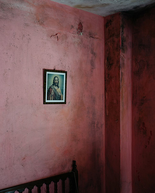 Vicente Fraga  portfolio image