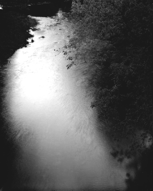 Holden_Richards-5