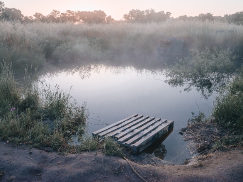 tony_dahlgren-3