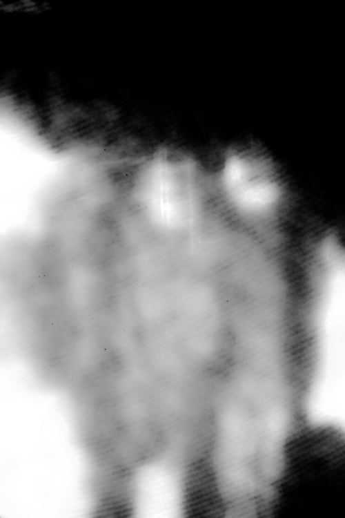WenheZhao9