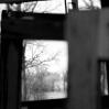 Lisa Sharpe - Chicago, Illinois - Urban Landscape Chicago Plano, IL 2005
