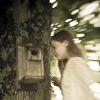 May Harrison - The Bird House