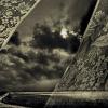 Angela Bacon-Kidwell - Wichita Falls, Texas - after the storm