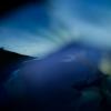 Anna Chipman - Alameda, California - Aura Borealis