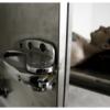 Bronwen Hyde - Melbourne, Australia - untitled #22