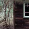Daniel Buttrey - Coventry, Connecticut - Untitled (Cabin/Bittersweet)