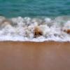 Ed Linn - Illinois - surf