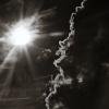Elizabeth Salib - Toronto, Ontario, Canada - Omniscient