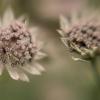 Kmac - Ithaca, New York - in the wind