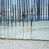 alexandru4