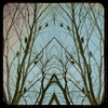ellem3