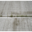 MCregg - 18 - Reclaimed Space- Century Park, Longford, May 2008