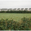 MCregg - 3 - Outside Tarmonbarry, Co. Roscommon. Oct 2005