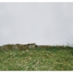 MCregg - 4 - Contested Landscape