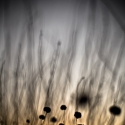 ClayL05