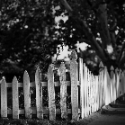 The Picket Fence