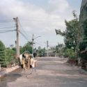 TonyL8